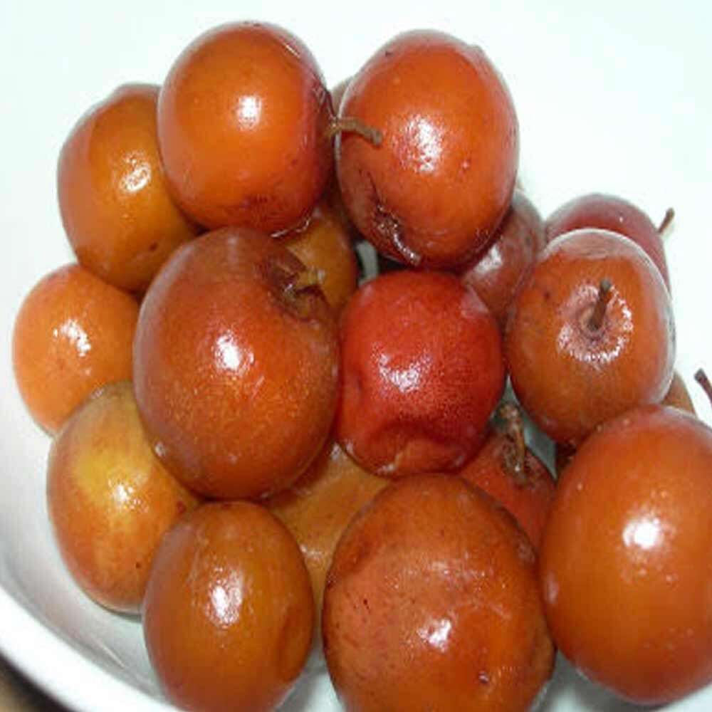 Regi Pallu / Jujube Fruit Online