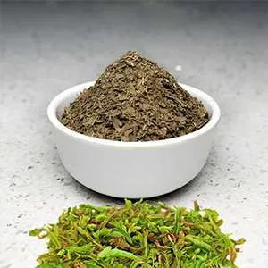 Dried Raw Chinthaaku Iguru Powder (Tender Tamarind Leaves)
